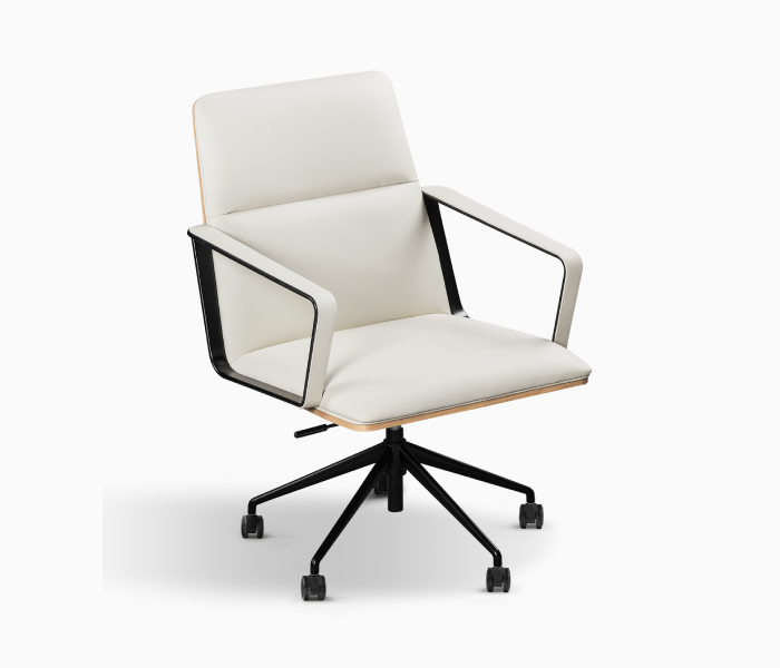 Derec lower back task chair-Image